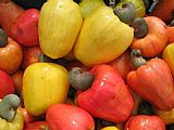 Fruits Canvas Paintings - cashew fruits